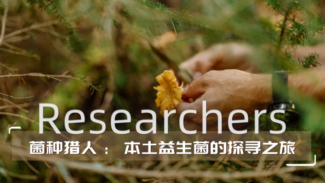 新希望乳业“菌种猎人”：自有菌种的探寻之旅……