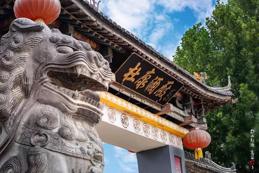 2021,历史文化名酒白水杜康强势回归?