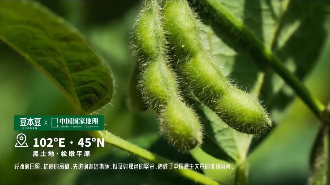 《中国国家地理》刷爆全网，豆本豆以匠人之心做匠心之事