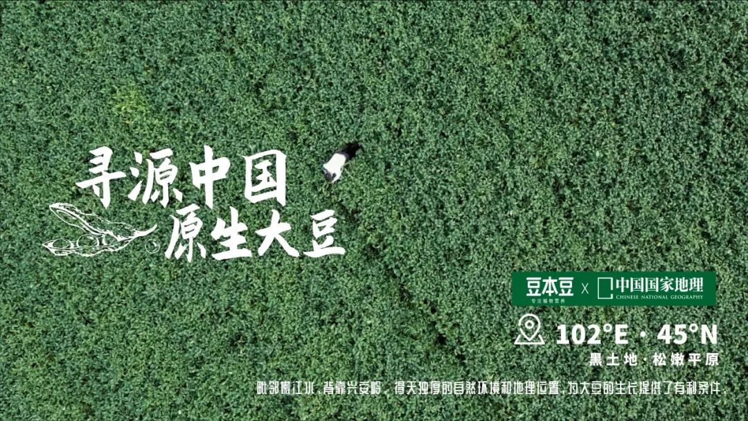 《中国国家地理》刷爆全网,豆本豆以匠人之心做匠心之事