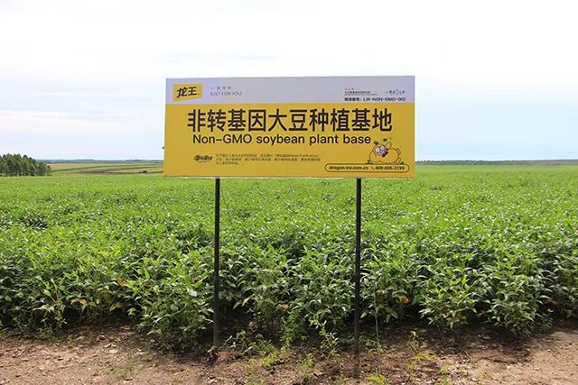 品类风头正盛,龙王豆浆助力行业格局新发展