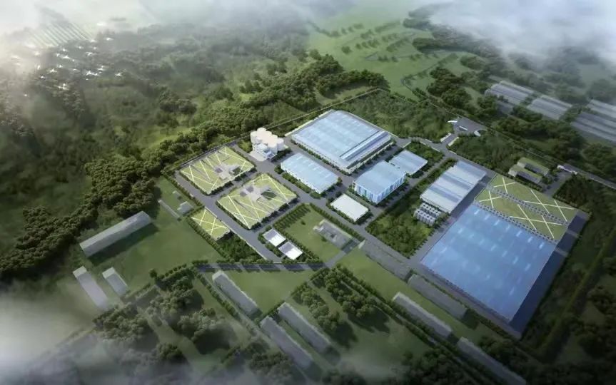 大爱无声，前行中的白水杜康