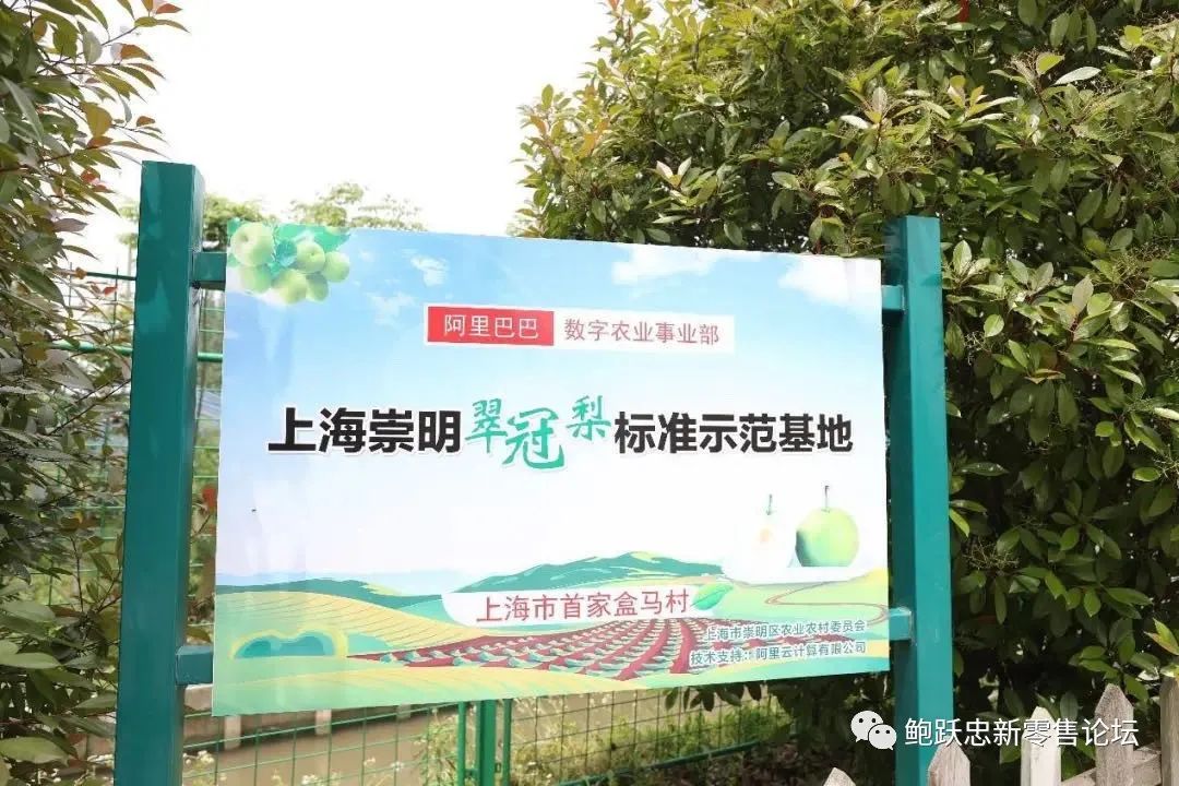 零售创新切忌“盲人摸象”