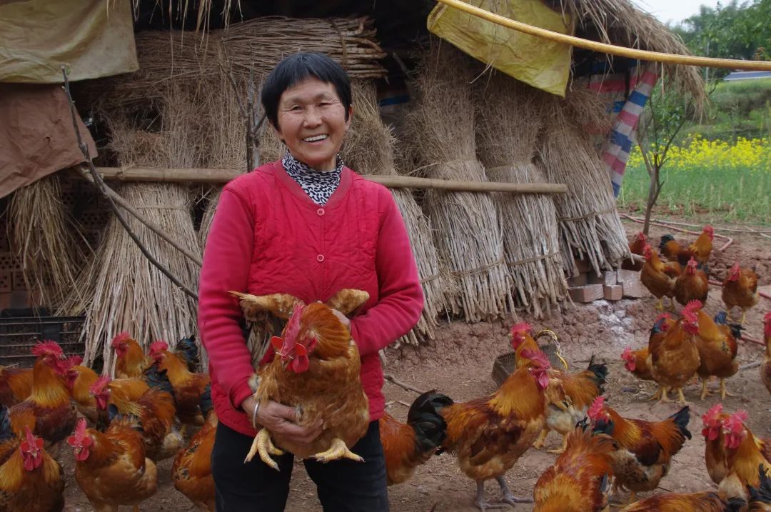 嘉吉荣获第十届上海“慈善之星“提名奖!