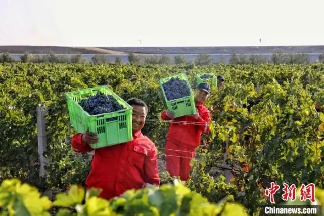 300亿的宁夏葡萄酒，定下2000亿的目标！