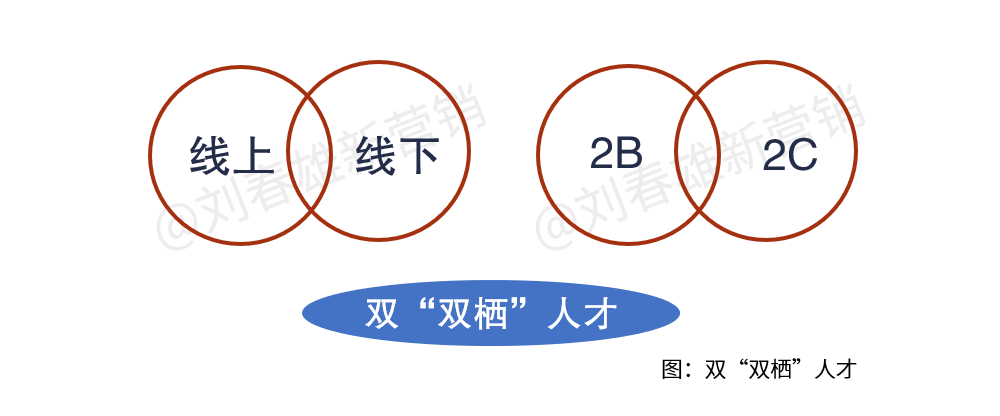 刘春雄:渠道数字化这一仗,到底该由谁来打?