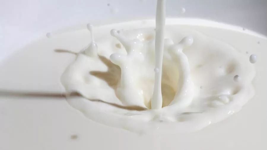 一个新雪糕爆红网络、一个新牛奶品牌年入数亿?如何靠五个原则打造一个赚钱的小品牌?