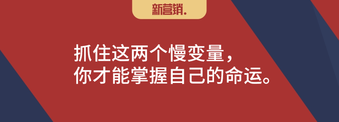 抓住两个慢变量,才决定改变公司的命运