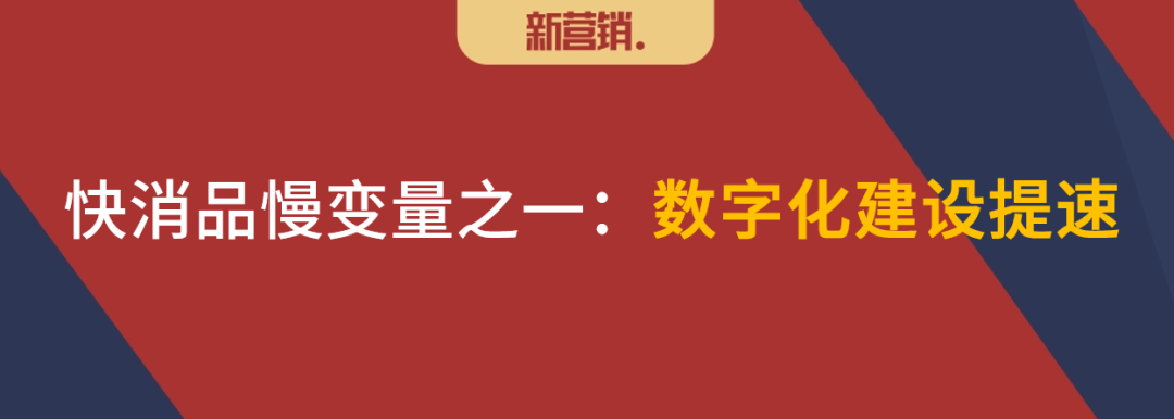 抓住两个慢变量,才决定改变公司的命运