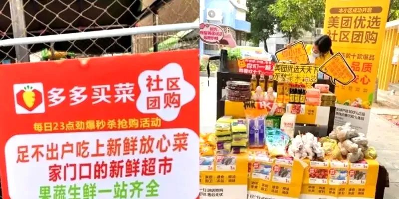 团长，已在觉醒前夜