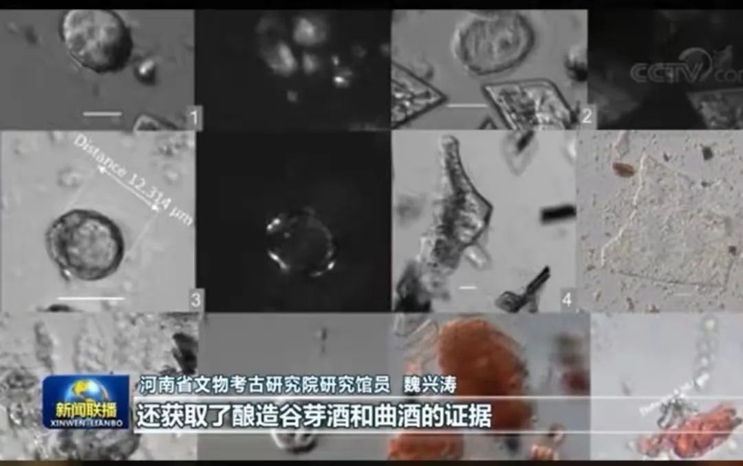 连续九年成为拜祖供奉用酒，仰韶凭什么？