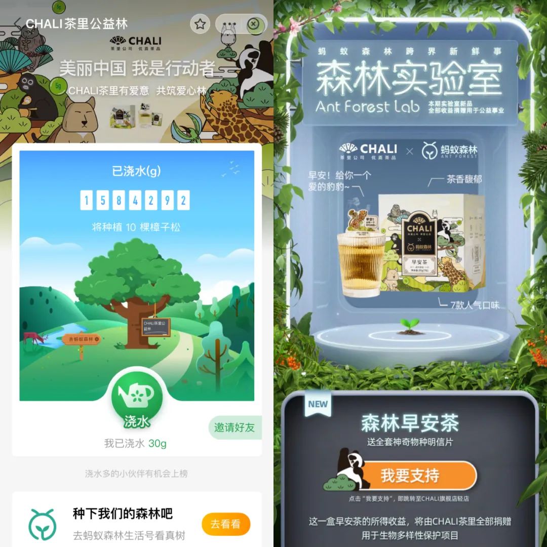 CHALI茶里联手蚂蚁森林推出动物早安茶，助力保护生物多样性