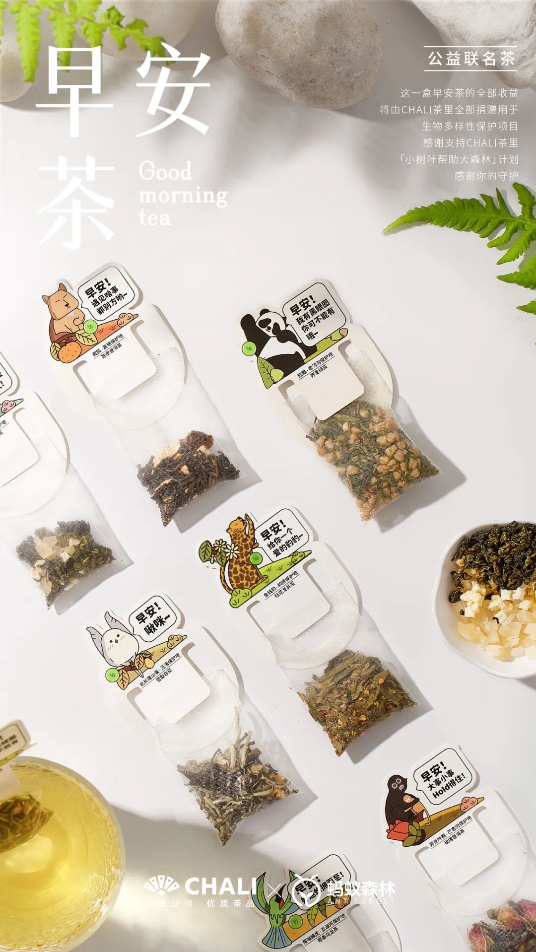 CHALI茶里联手蚂蚁森林推出动物早安茶，助力保护生物多样性