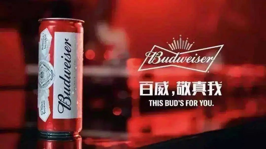 中国区销量收入双下滑，百威以提价应对？