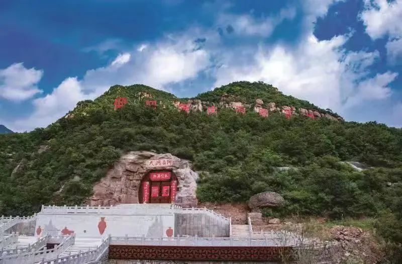 高光聚焦,领导关注,为何是仰韶酒业?