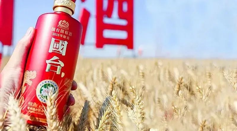 国台祭麦活动再启,还有这些亮点?