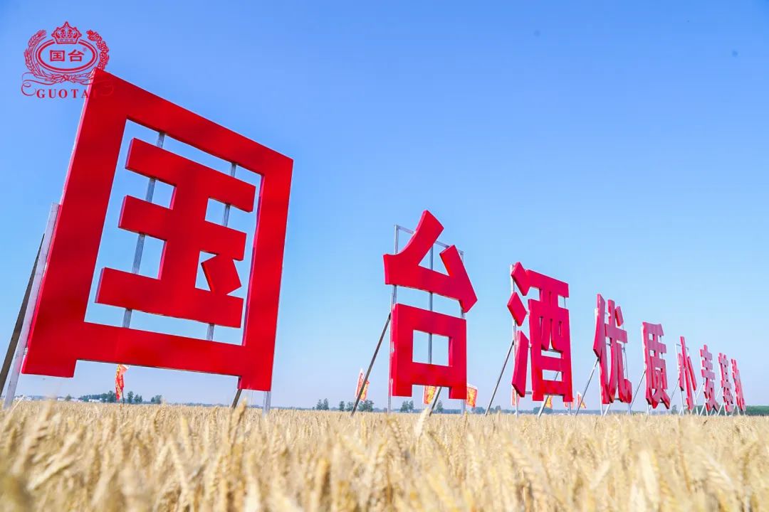 国台祭麦活动再启,还有这些亮点?