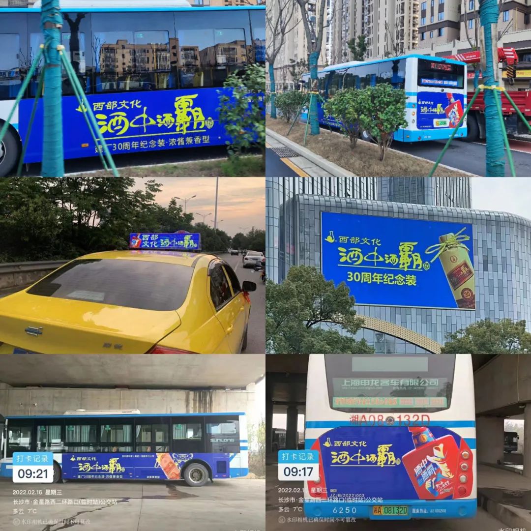 市场呼唤，这瓶小酒又杀回来了！