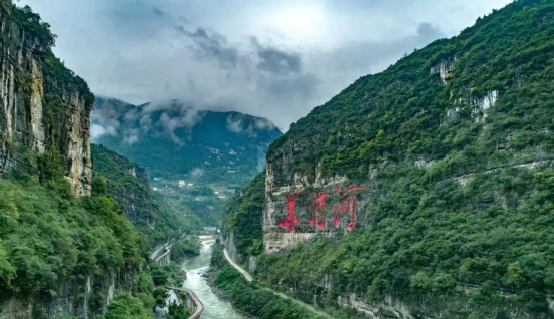 是酱香稀缺还是浓香稀缺?