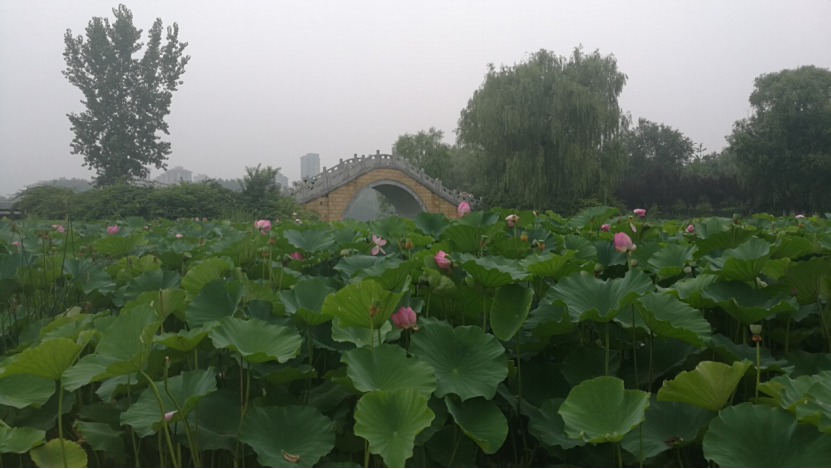 团队应对能力不足?三招提升酱酒企业团队力量