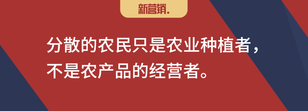 团购谈3:没有赶上深度分销的行业,能否搭上团购供应链革命的列车