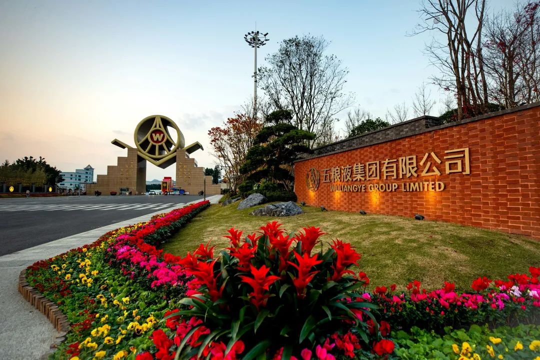 持续两位数增长,看五粮液展现的稳健与韧性