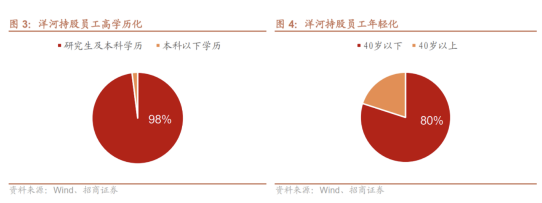 触底反弹,洋河做对了什么?