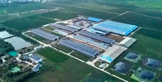 实力圈粉，卫岗参加奶业D20峰会又火了！