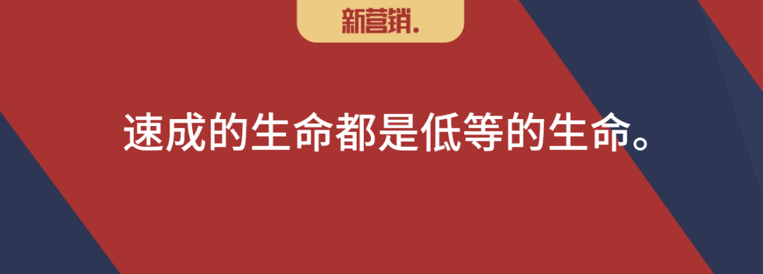 “团品牌”不是淘品牌的复制品