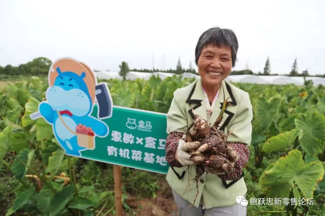 从盒马组织调整,看连锁超市企业如何搭建新的零售能力?