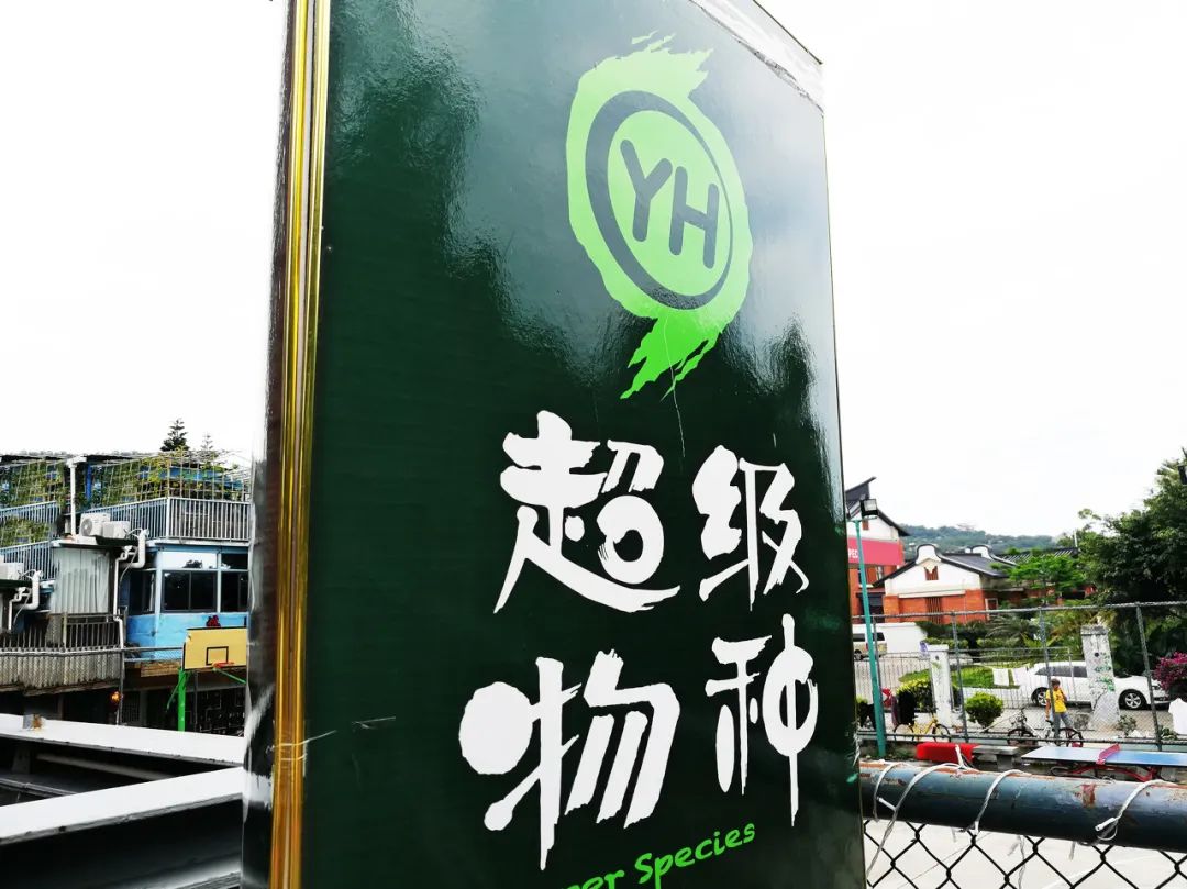 “永辉系”为何分崩离析？