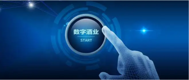 打擦边、蹭流量……酒业“搭便车”行为,如何遏制?