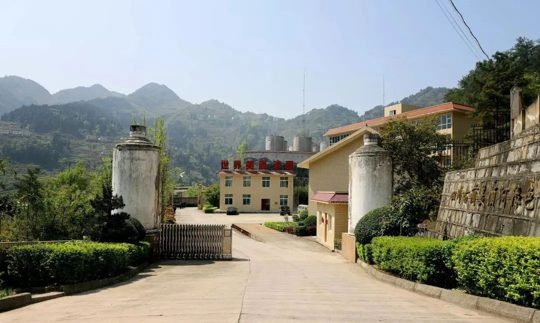 古蔺巷子深酒厂“否认”已被收购,其中有何缘由?