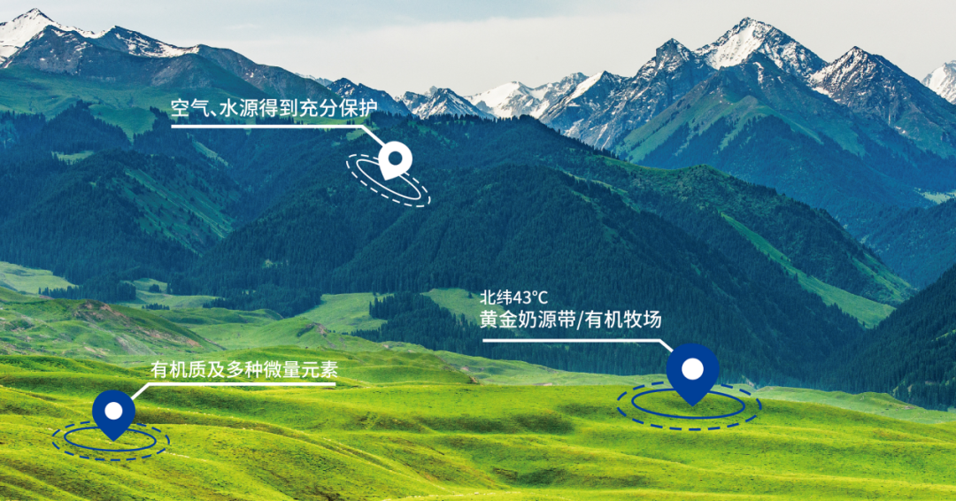 占位“工厂、牧场双有机”的新疆草原奶,究竟有何魔力?