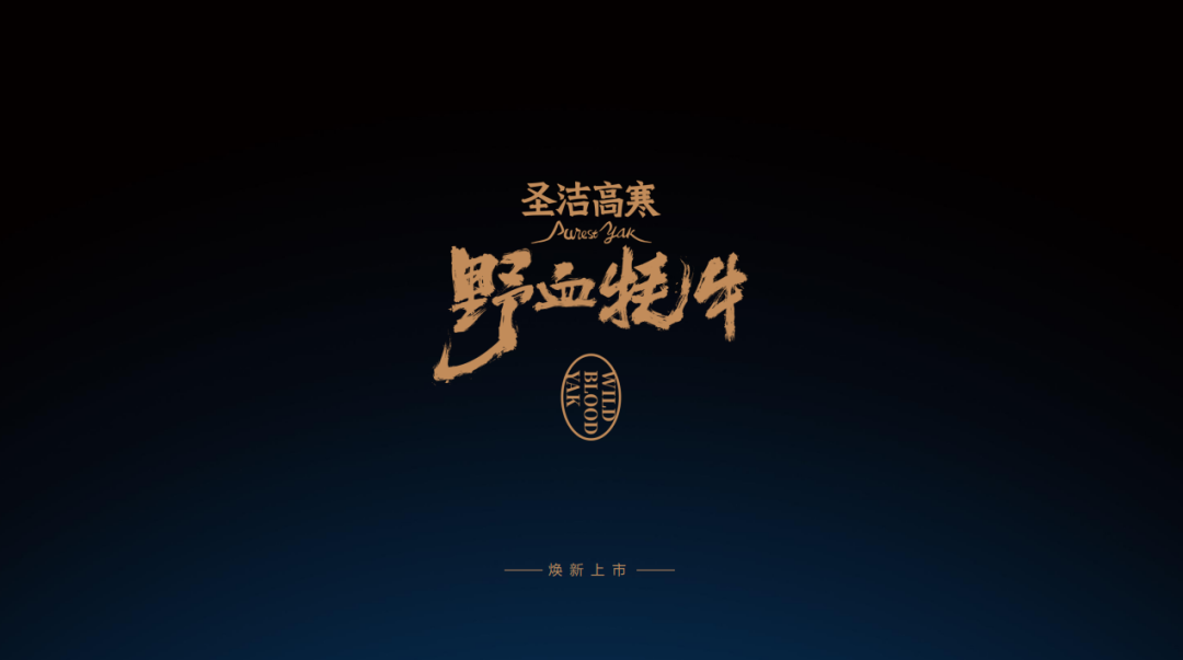 源自海拔4500米高净区,圣洁高寒打造中国原种高端牛肉品牌!