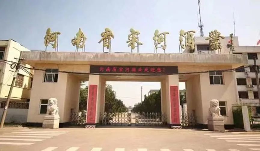 茅台扩容，宋河破产，连梅西都救不了的豫酒振兴