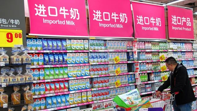 洋牛奶为何突然“不香了”?