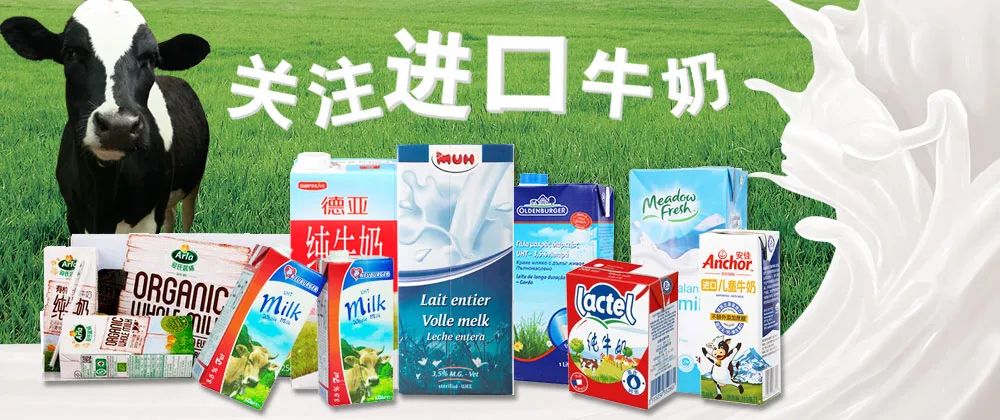 洋牛奶为何突然“不香了”?