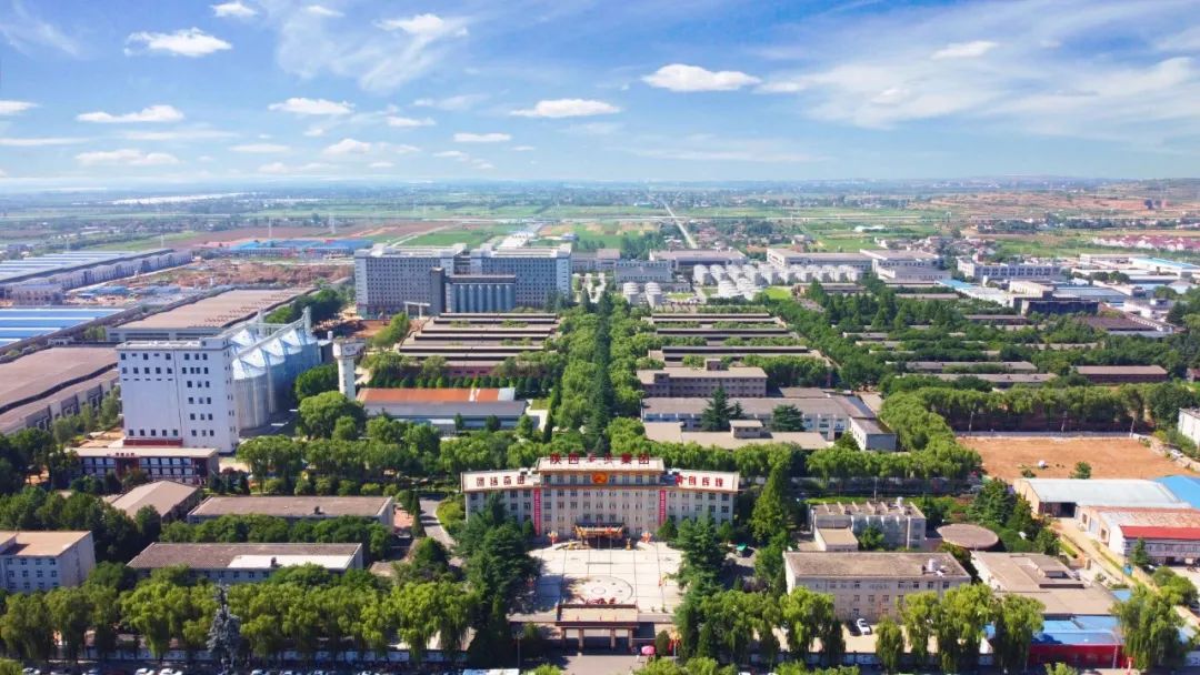 文化研讨、专家聘用，西凤酒如何构建起“文化高地”？