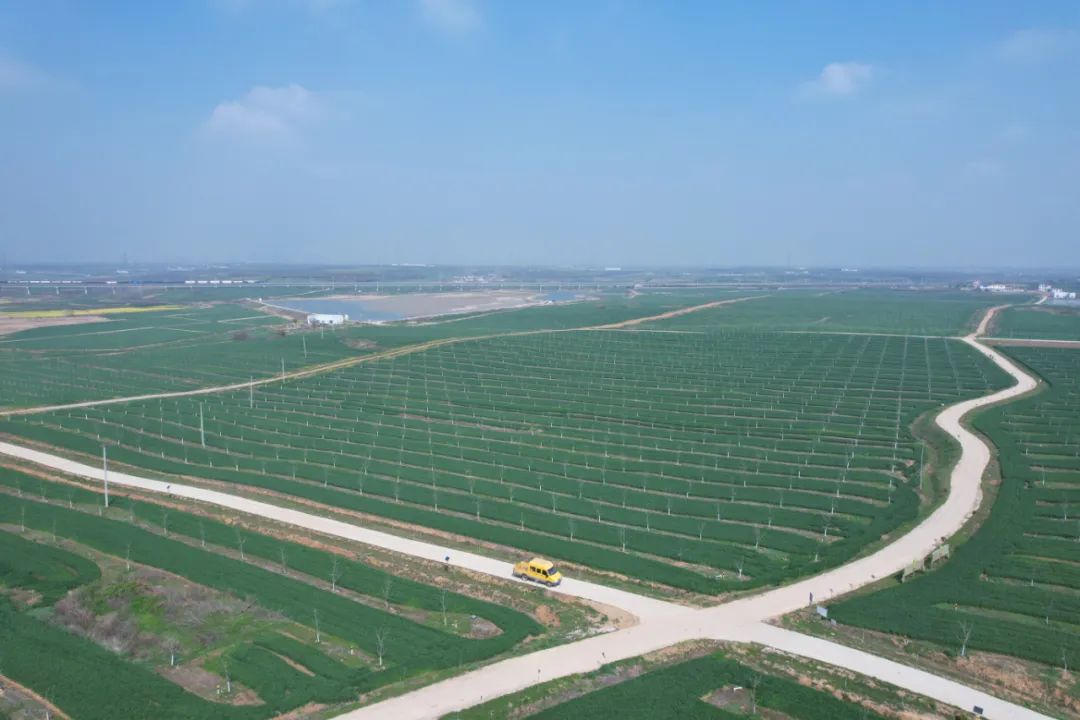 百位营养师倾力助阵,洽洽引领坚果走向“每日膳食”