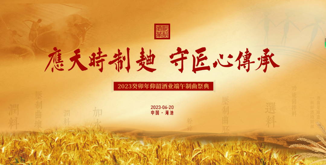 端午制曲,仰韶酒业为何与众不同?