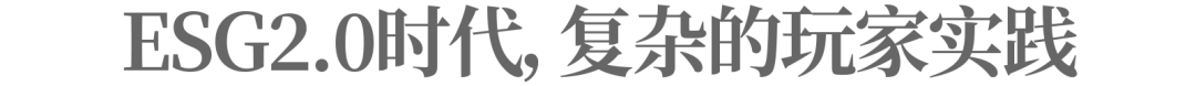 当中国企业在谈论ESG时，他们在说什么？