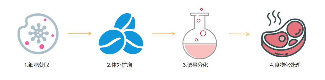 细胞肉距离餐桌还有多远?