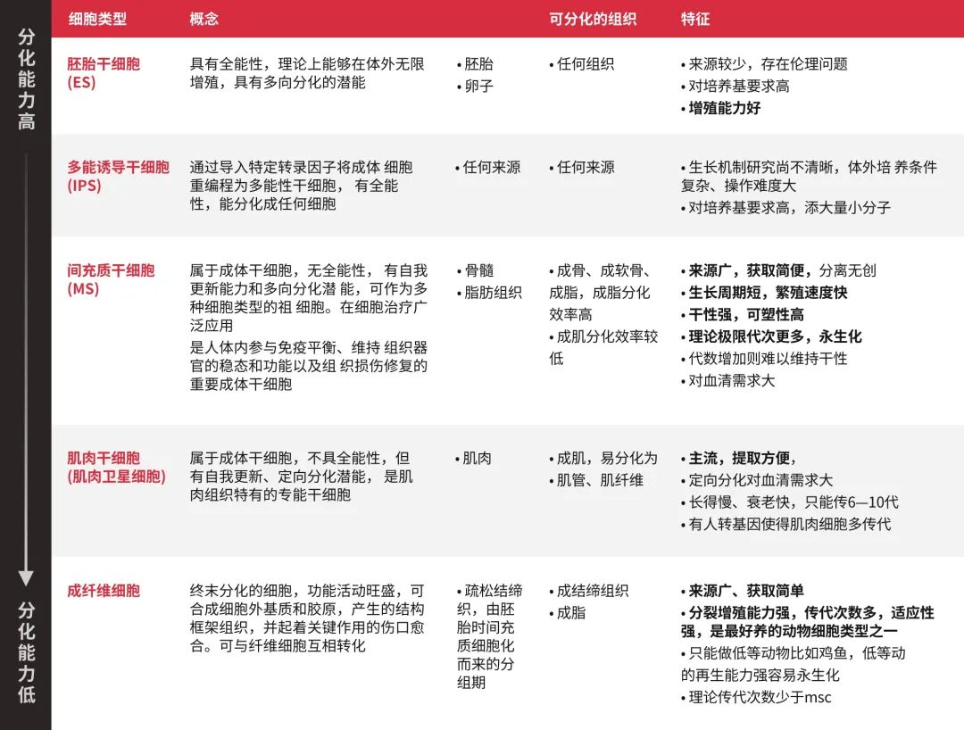 细胞肉距离餐桌还有多远?