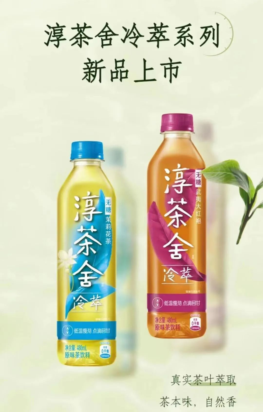 东方树叶、茶里王、三得利……20款无糖茶你更看好谁?