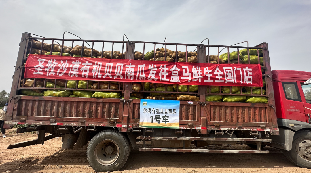 纵观盒马,持续发「绿」