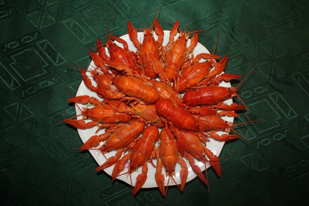 年轻人吃不起的小龙虾该游去哪儿?