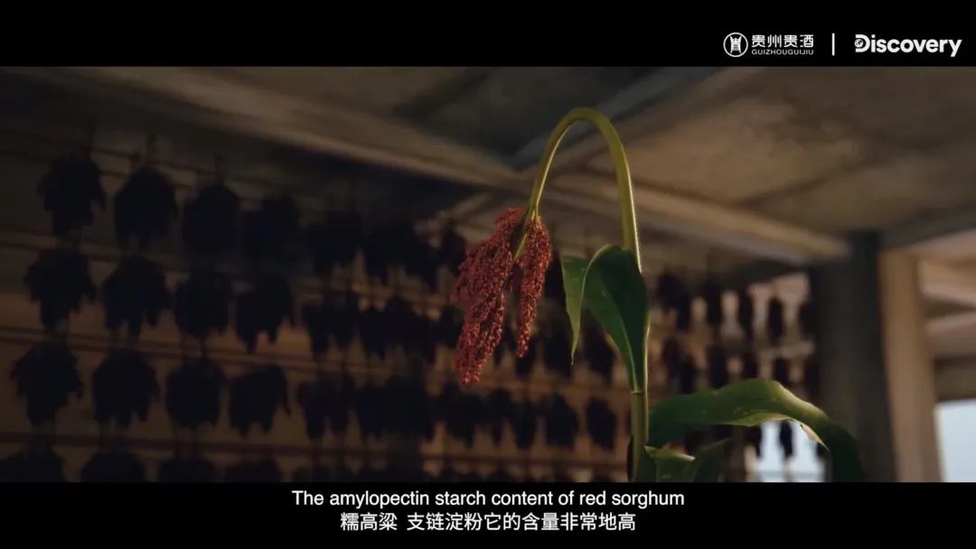 《绵柔以贵》首映礼,谁在用镜头探秘酱酒传奇?