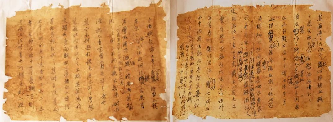金徽的酒海：生生不息，美美与共