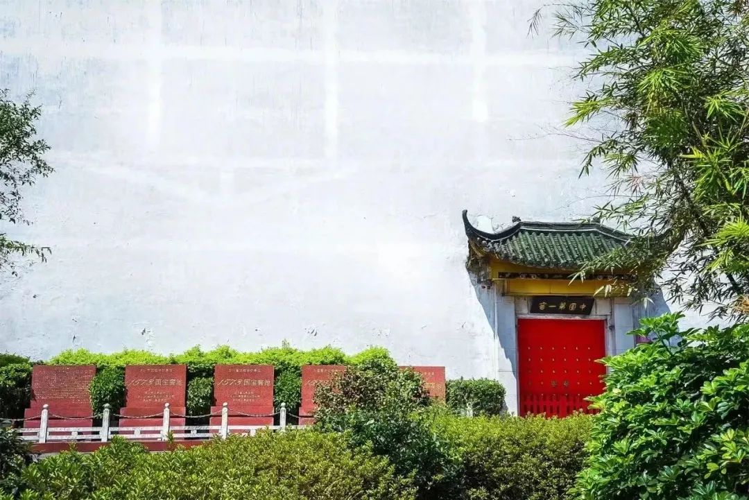 透过两个新IP,看见泸州老窖的“变化与进化”
